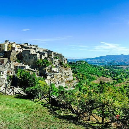 Ferienwohnung Cortile Nel Borgo Civitella dʼAgliano Exterior foto