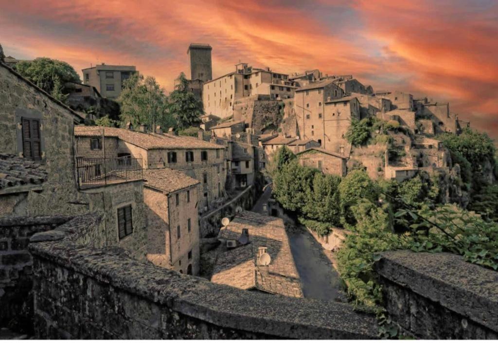 Ferienwohnung Cortile Nel Borgo Civitella dʼAgliano Exterior foto